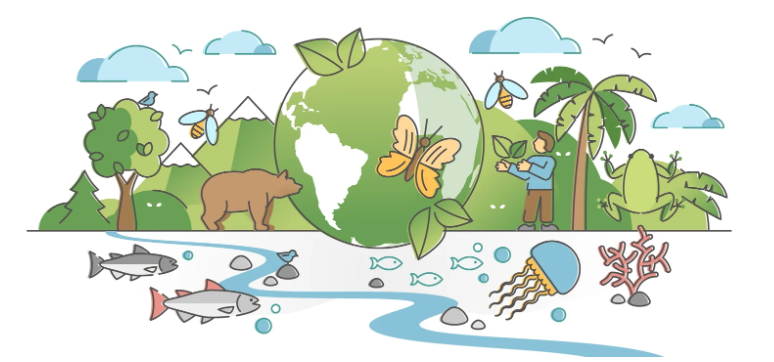 Konservasi Keanekaragaman Hayati: Melindungi Kekayaan Alam untuk Masa Depan